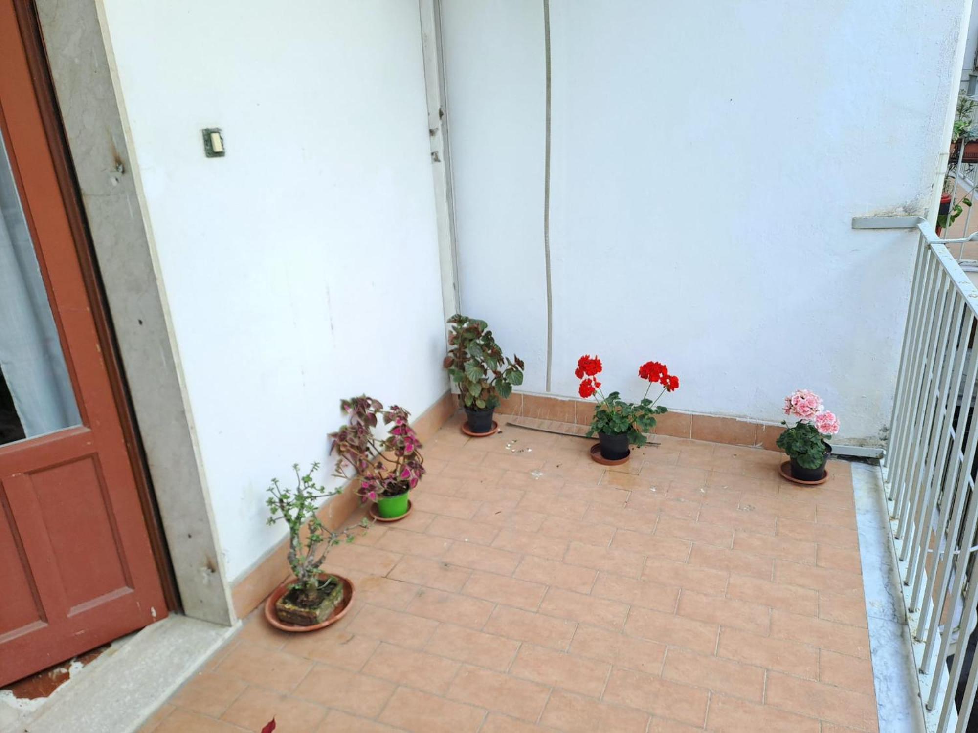 B&B Domus Pina Κατάνια Εξωτερικό φωτογραφία