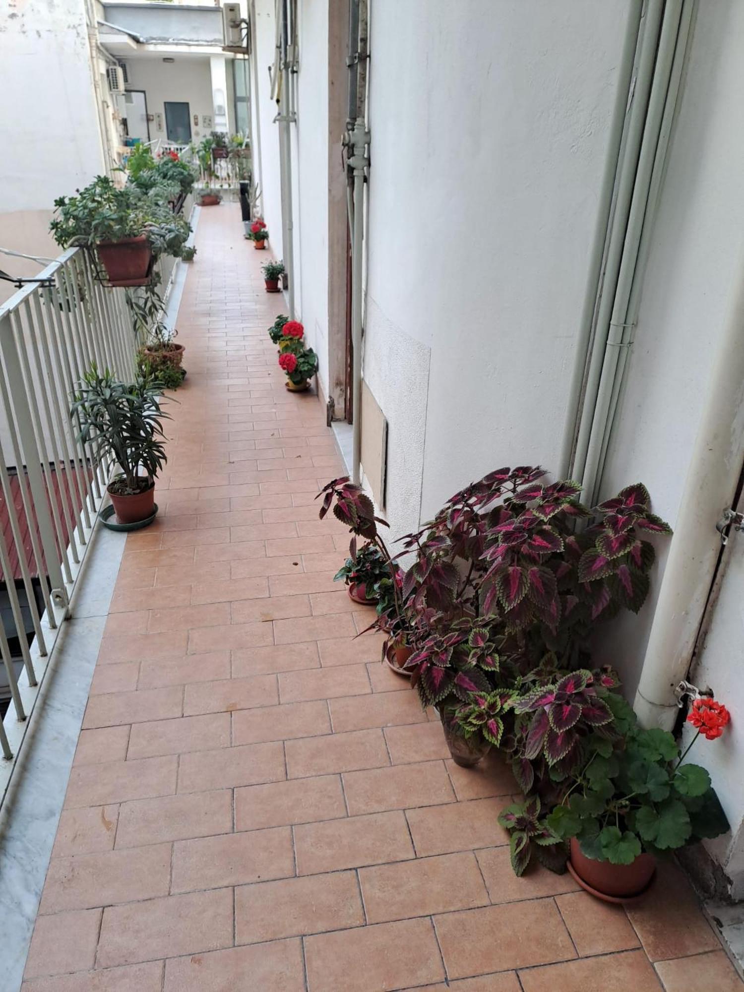 B&B Domus Pina Κατάνια Εξωτερικό φωτογραφία
