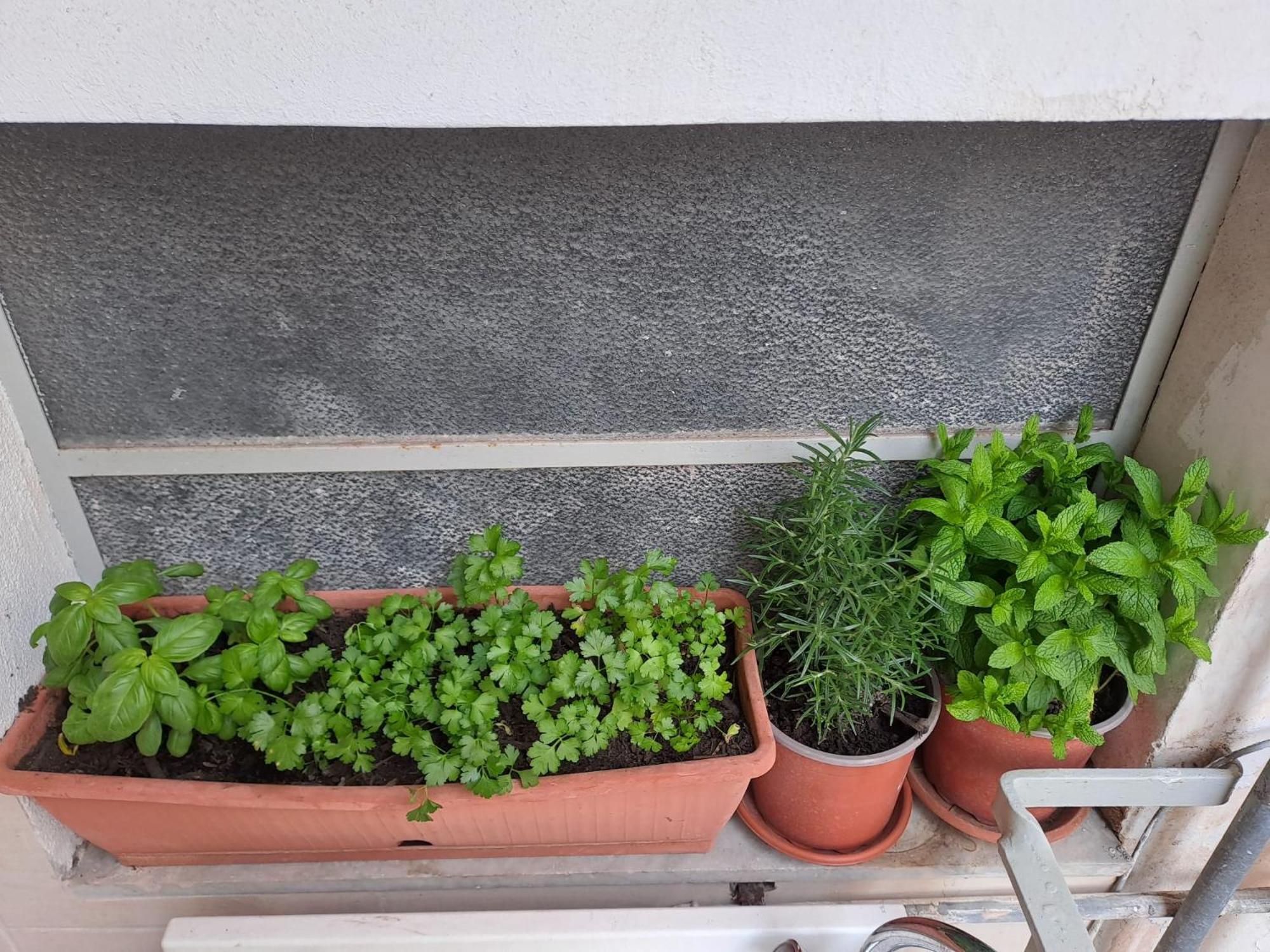 B&B Domus Pina Κατάνια Εξωτερικό φωτογραφία