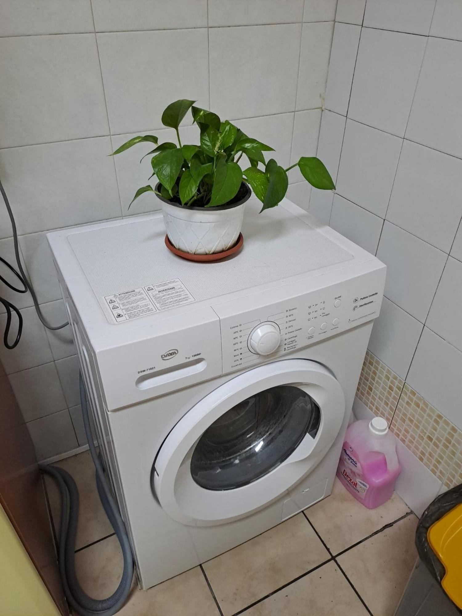B&B Domus Pina Κατάνια Εξωτερικό φωτογραφία