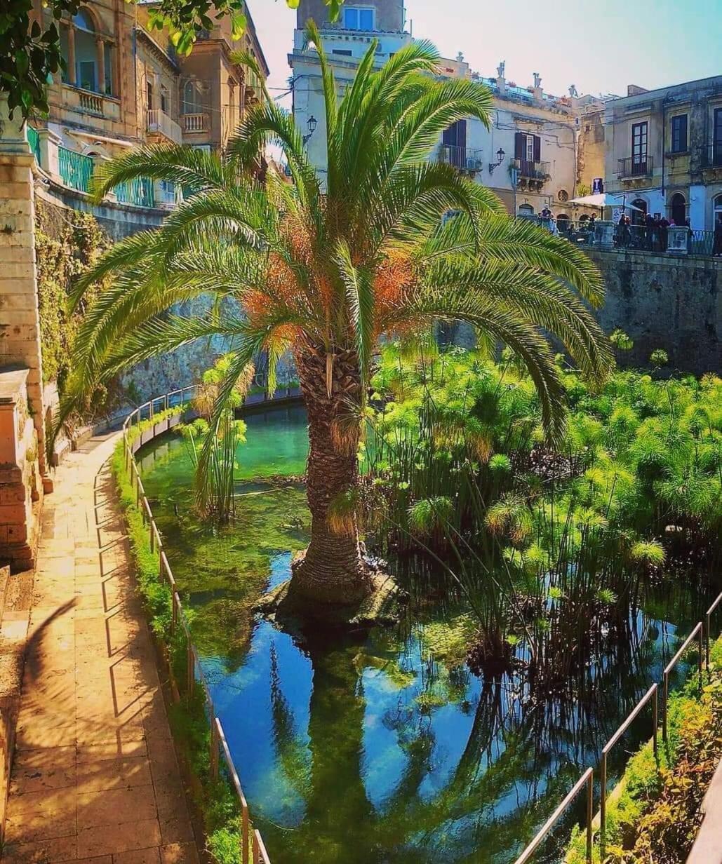 B&B Domus Pina Κατάνια Εξωτερικό φωτογραφία